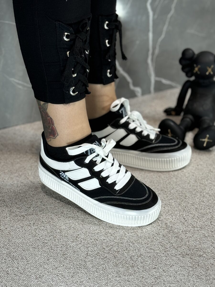 ونس زیتون - Image 6