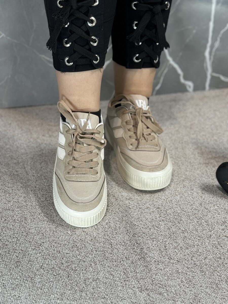 ونس زیتون - Image 5