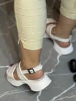 صندل ملکه - Image 6