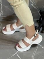 صندل ملکه - Image 7