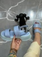 صندل ملکه - Image 4