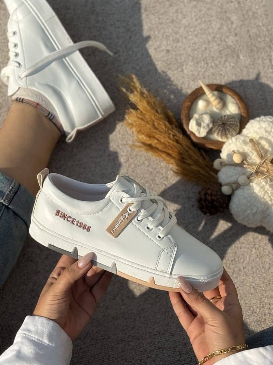 ونس بندی ضربان - Image 8