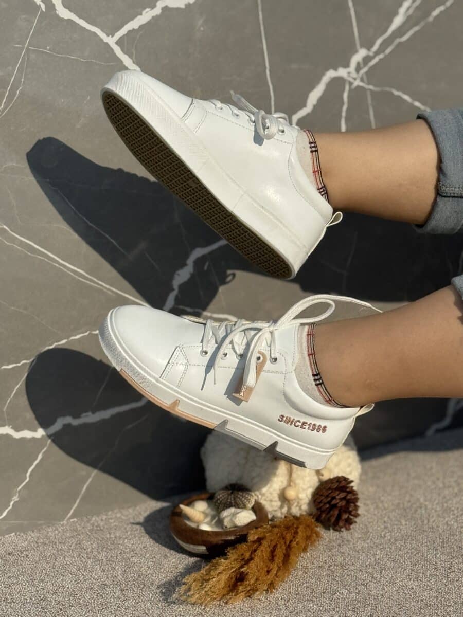 ونس بندی ضربان - Image 5