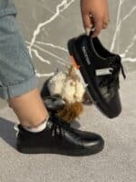 ونس بندی ضربان - Image 6