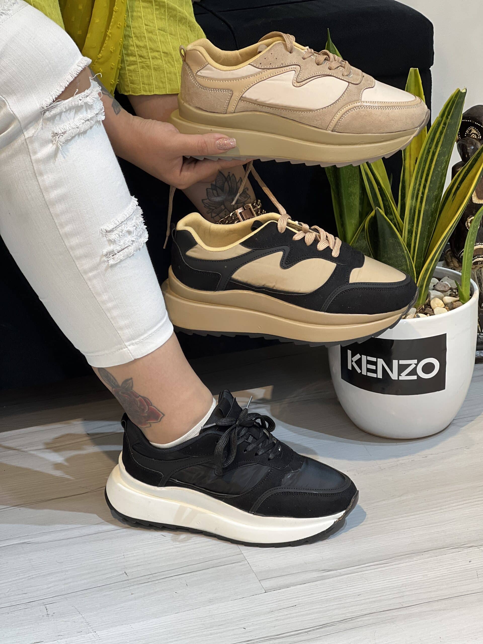 IMG_20250125_114336 کتونی بالداری - Image 1