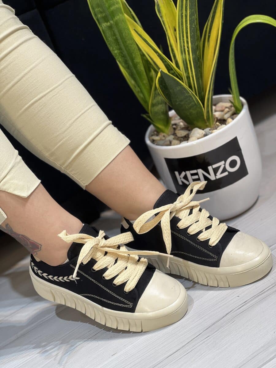 ونس گندمی - Image 2