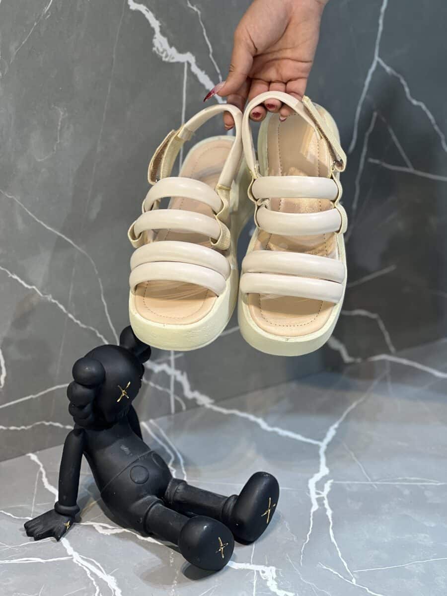 صندل شالانی - Image 9