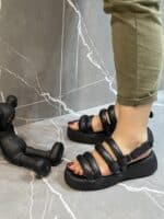 صندل شالانی - Image 4