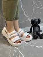 صندل شالانی - Image 6