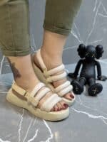 صندل شالانی - Image 2