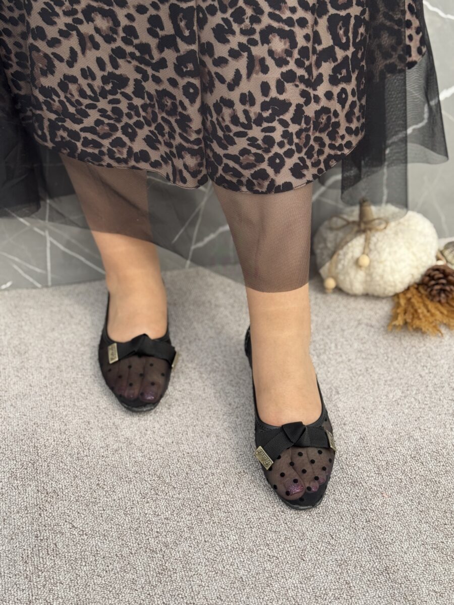 کالج زی زی گولو - Image 4