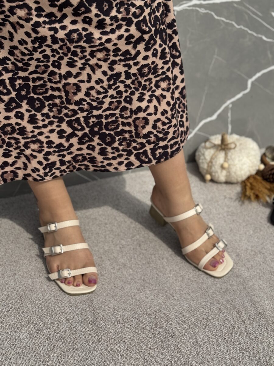 صندل سحر - Image 4