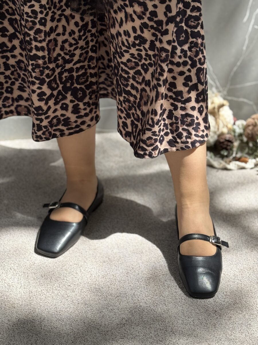 کالج بالرین - Image 7