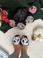 صندل پاندایی - Image 2